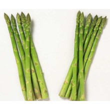 Asparagus Sprengeri Extract Powder